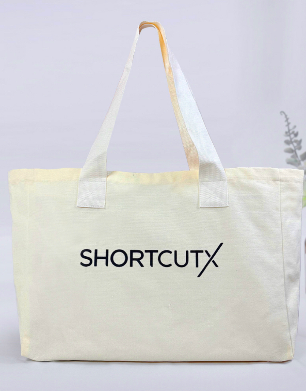 Product Introduction